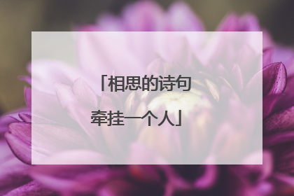 相思的诗句牵挂一个人