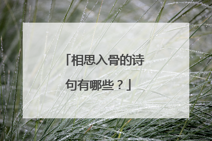相思入骨的诗句有哪些?