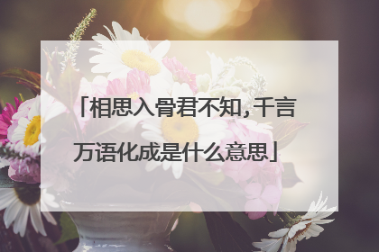 相思入骨君不知,千言万语化成是什么意思