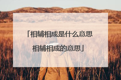 相辅相成是什么意思 相辅相成的意思