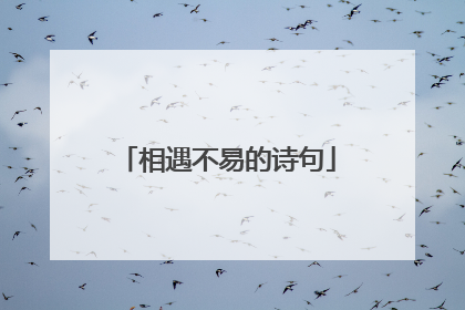 相遇不易的诗句