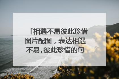 相遇不易彼此珍惜图片配图，表达相遇不易,彼此珍惜的句子有什么？