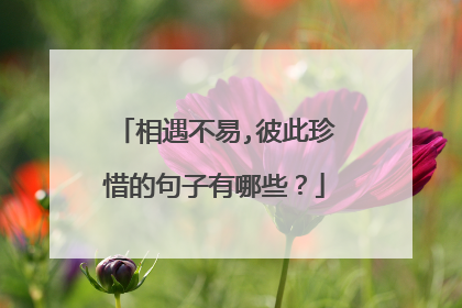 相遇不易,彼此珍惜的句子有哪些?