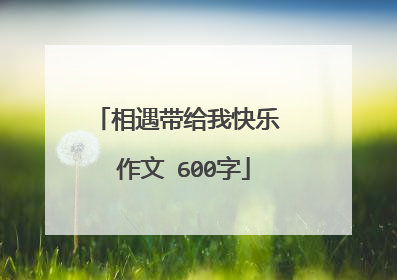相遇带给我快乐 作文 600字