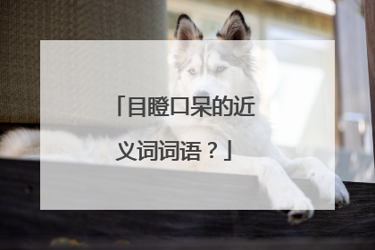 目瞪口呆的近义词词语？