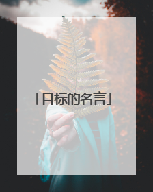 目标的名言