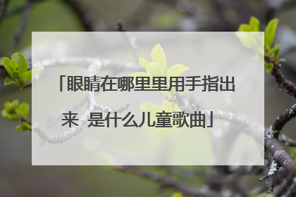 眼睛在哪里里用手指出来 是什么儿童歌曲
