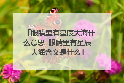眼睛里有星辰大海什么意思 眼睛里有星辰大海含义是什么