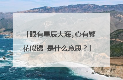 眼有星辰大海,心有繁花似锦 是什么意思?