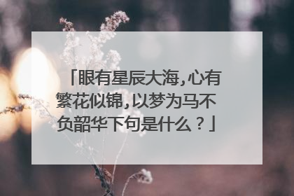 眼有星辰大海,心有繁花似锦,以梦为马不负韶华下句是什么？