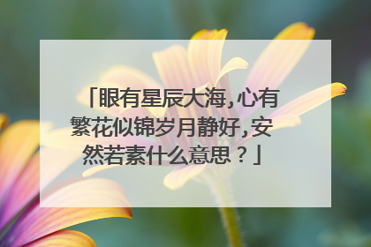眼有星辰大海,心有繁花似锦岁月静好,安然若素什么意思?