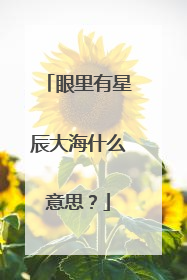 眼里有星辰大海什么意思?
