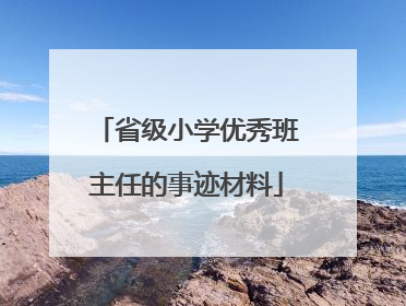 省级小学优秀班主任的事迹材料