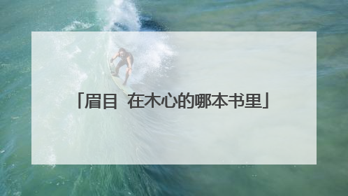 眉目 在木心的哪本书里