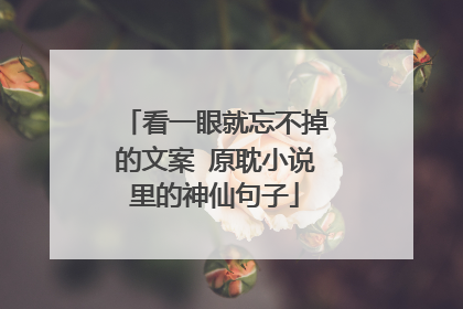 看一眼就忘不掉的文案 原耽小说里的神仙句子