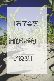 看了会落泪的伤感句子说说