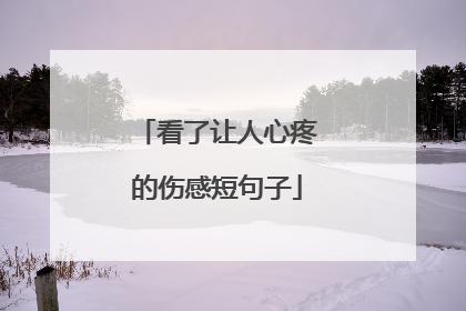 看了让人心疼的伤感短句子