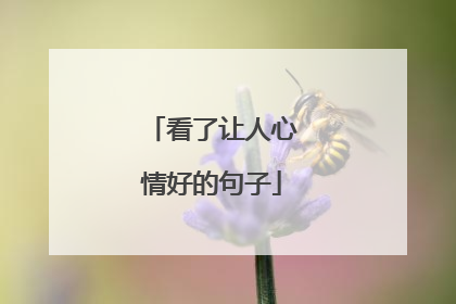 看了让人心情好的句子