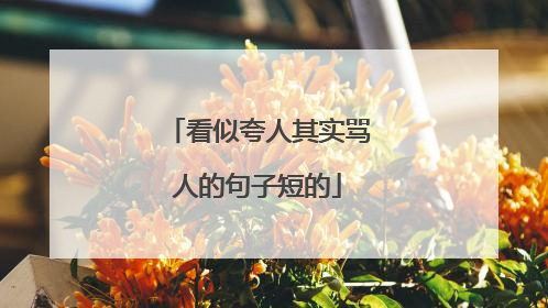 看似夸人其实骂人的句子短的