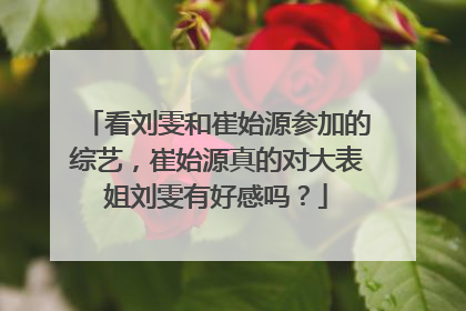 看刘雯和崔始源参加的综艺,崔始源真的对大表姐刘雯有好感吗?