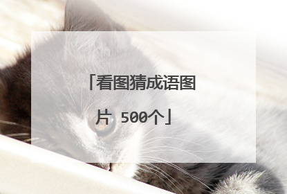 看图猜成语图片 500个