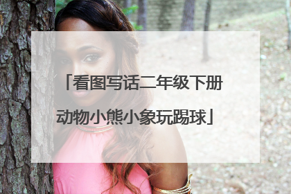 看图写话二年级下册动物小熊小象玩踢球