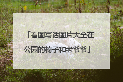 看图写话图片大全在公园的椅子和老爷爷