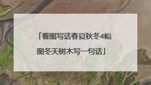看图写话春夏秋冬4幅图冬天树木写一句话
