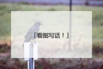 看图写话!