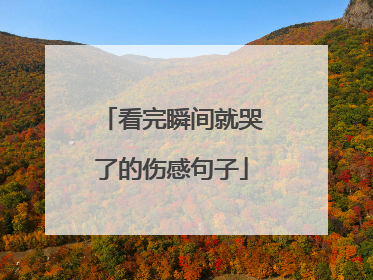 看完瞬间就哭了的伤感句子