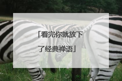 看完你就放下了经典禅语