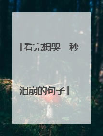 看完想哭一秒泪崩的句子