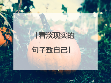 看淡现实的句子致自己