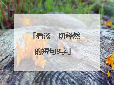 看淡一切释然的短句8字
