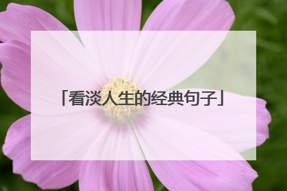 看淡人生的经典句子