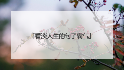 看淡人生的句子霸气