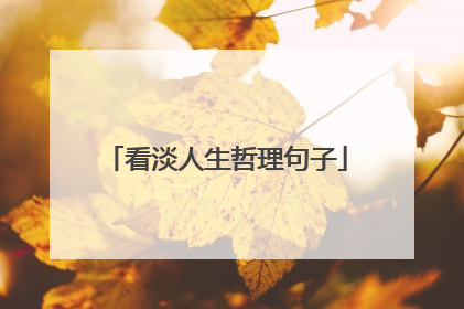 看淡人生哲理句子