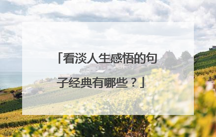 看淡人生感悟的句子经典有哪些？