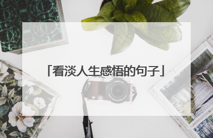 看淡人生感悟的句子