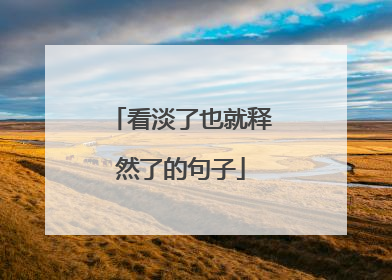 看淡了也就释然了的句子