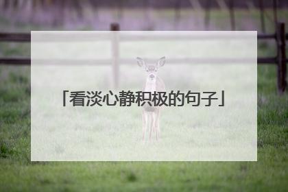 看淡心静积极的句子