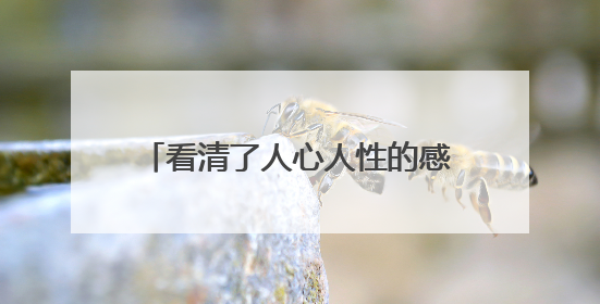 看清了人心人性的感悟的句子有哪些？