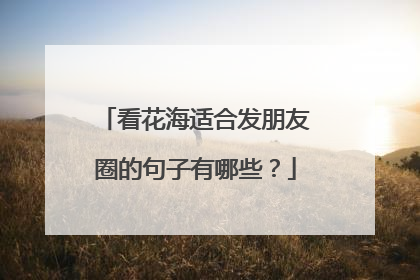 看花海适合发朋友圈的句子有哪些？