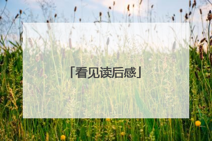 看见读后感