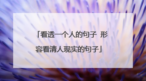 看透一个人的句子 形容看清人现实的句子
