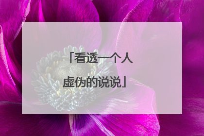 看透一个人虚伪的说说