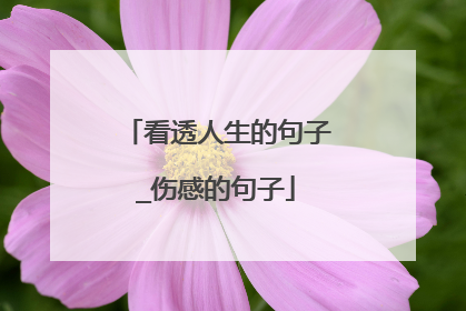 看透人生的句子_伤感的句子