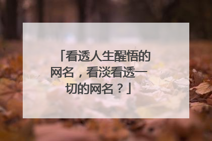 看透人生醒悟的网名，看淡看透一切的网名？