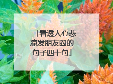 看透人心悲凉发朋友圈的句子四十句