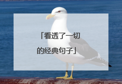 看透了一切的经典句子